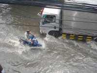 TP Hồ Chí MInh, càng chống càng ngập